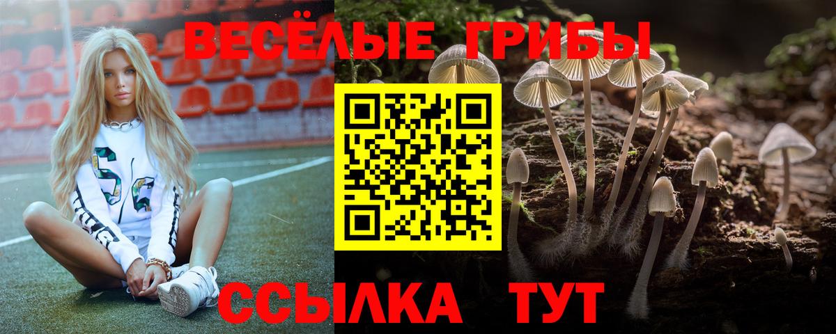 Галлюциногенные грибы прущие грибы Киселёвск