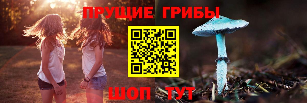 Киселёвск  Галлюциногенные грибы прущие грибы  Вход с VPN 