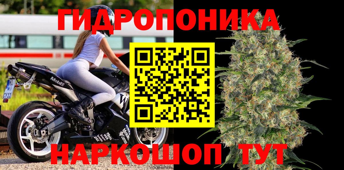 Марихуана Ganja  Бошки марихуана Bruce Banner  Киселёвск  Вход с VPN 